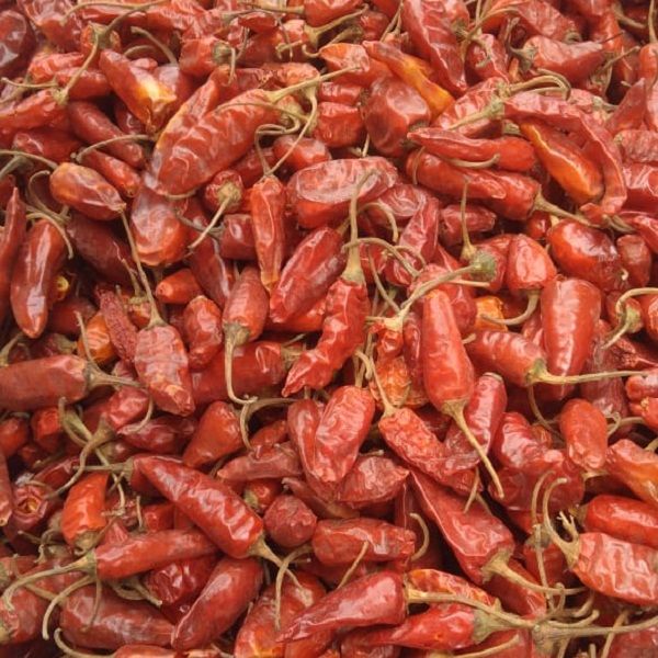 Assam Dry Red Chilli