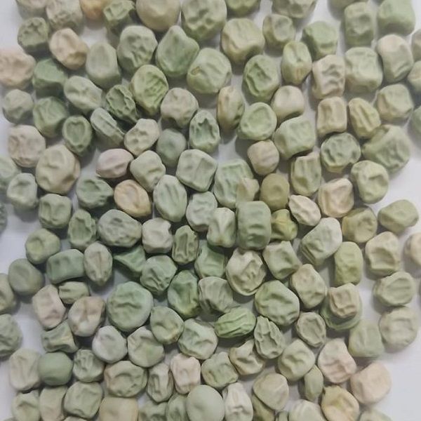 Dried Green Pea