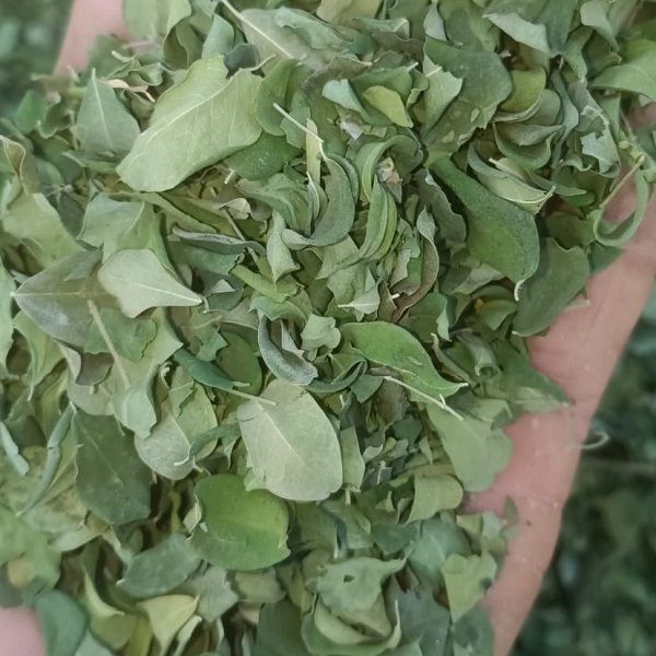 Dried Moringa Leaves