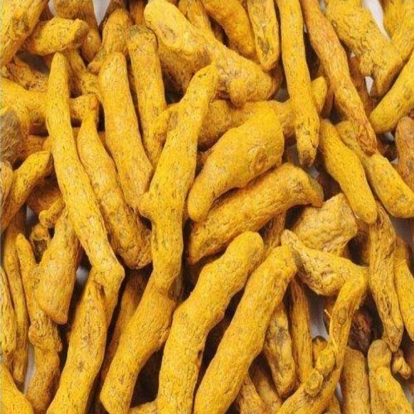 Dried Turmeric Finger