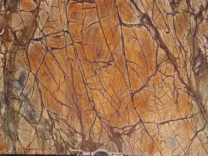 Rainforest Brown Marble