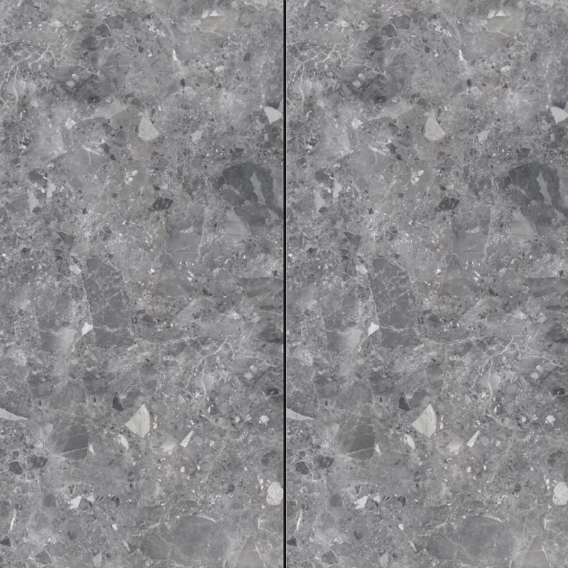 Regis Dgy Porcelain Slab