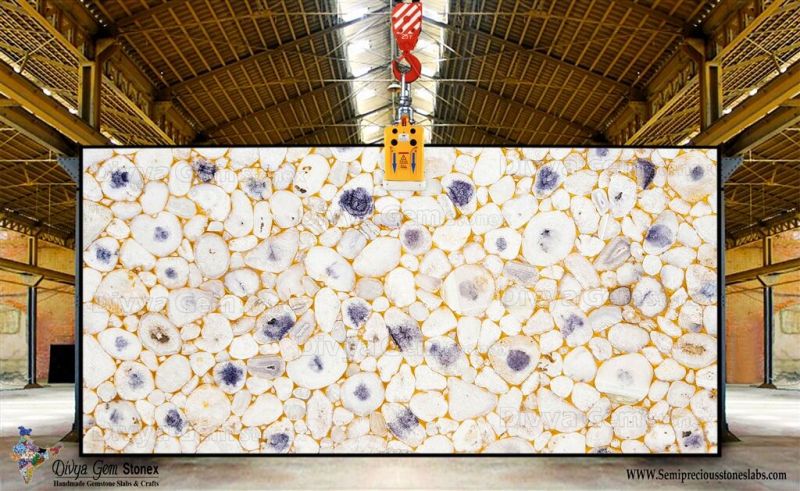 Agate Jellyfish Gold Slab