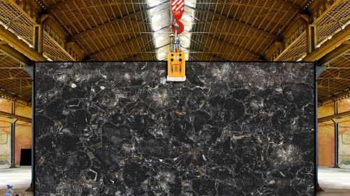 Black Petrified Wood Slab