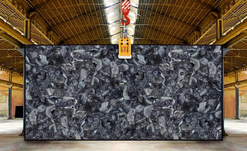 Crystal Black Agate Slab