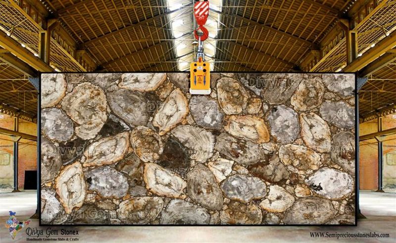 Ivory Petrified Wood Slab