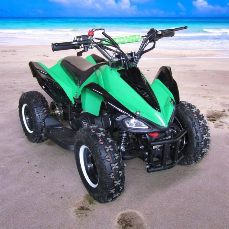 2-Stroke Petrol Atv Bike