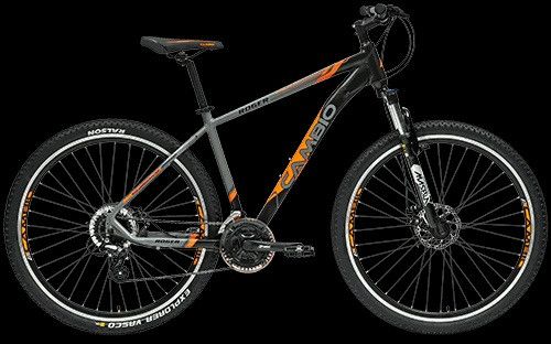 Roger Mountain Bike