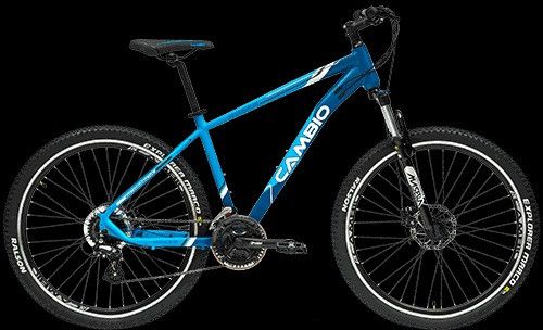 Roger 29t Sports Cycle