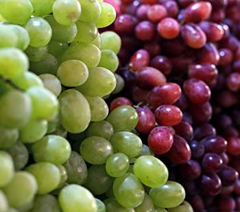 grapes