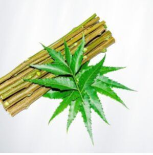 Fresh Twigs Chewable Neem Datun