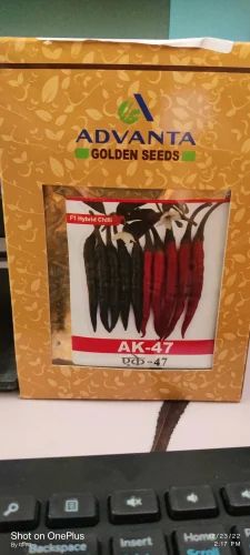 Advanta AK 47 F1 Hybrid Chilli Seeds