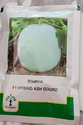 Kalash Sowmya F1 Hybrid Ash Gourd Seeds