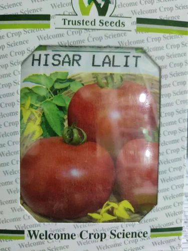 Welcome Hisar Lalit Hybrid Tomato Seeds