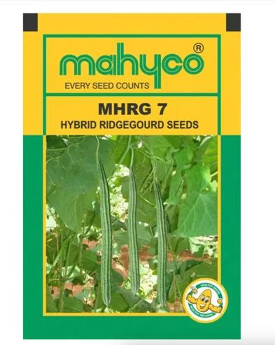 Mahyco MHRG 7 Ridge Hybrid Gourd Seeds