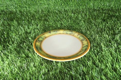 Melamine Green Round Printed Dinner Plate