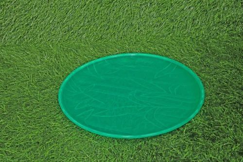 Green Plastic Plate