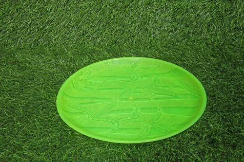 Neon Green Plastic Plate