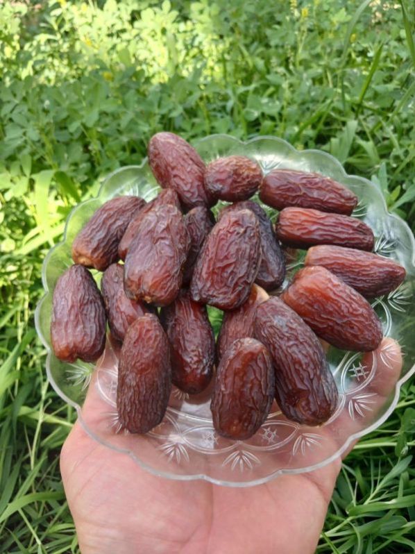 Medjool Premium Dates
