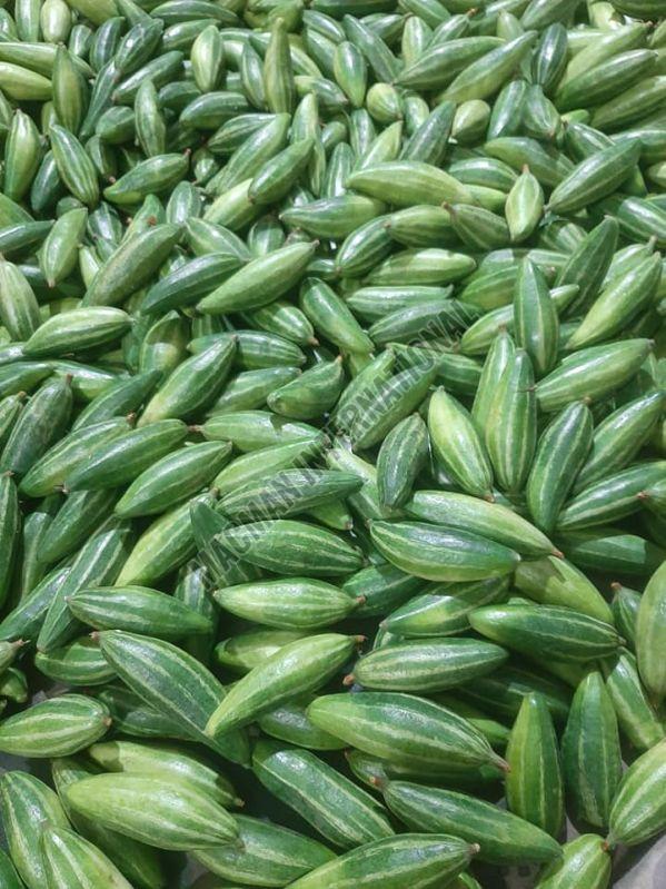 Pointed Gourd