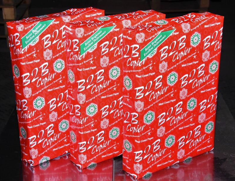 b2b Copier Paper