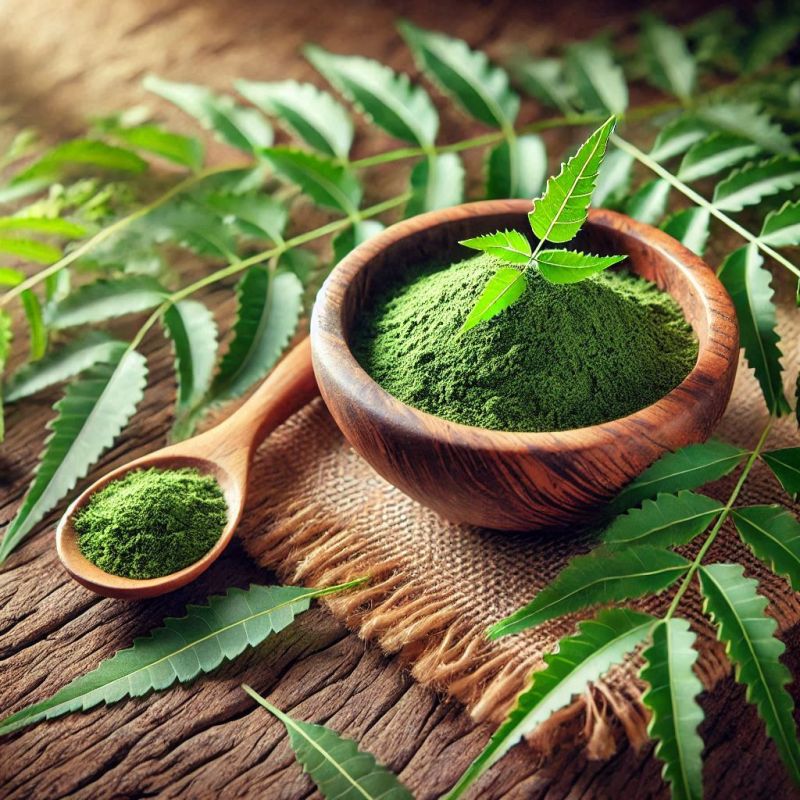 Neem Extract Powder