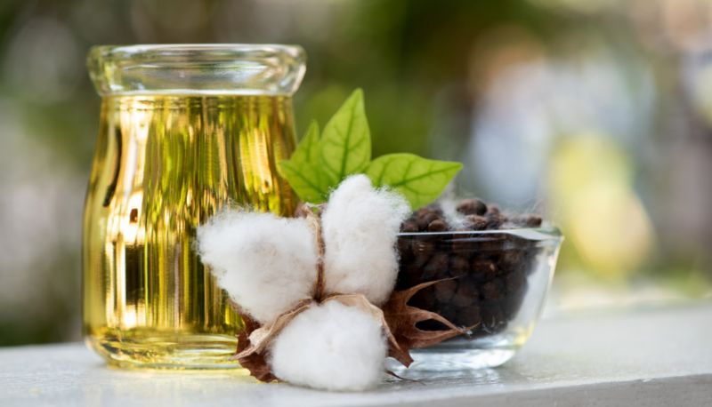 Cotton Seed Oil