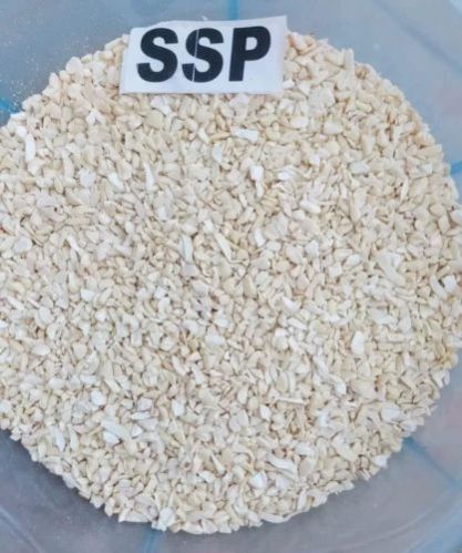 SSP Broken Cashew Nut