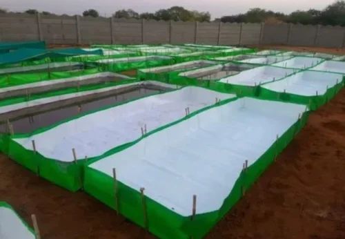 450GSM 12x4x1 Ft HDPE Azolla Cultivation Bed