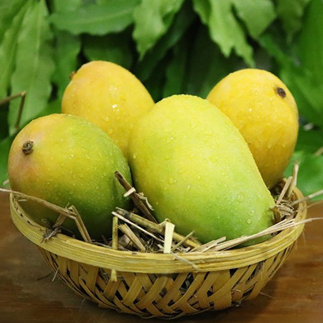 Kesar Mango