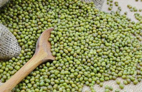 Mung Beans