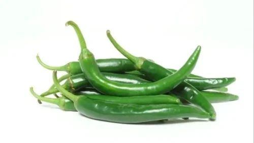 fresh green chilli