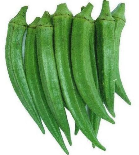 Fresh Green Okra