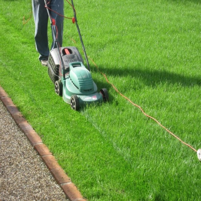 garden maintenance services