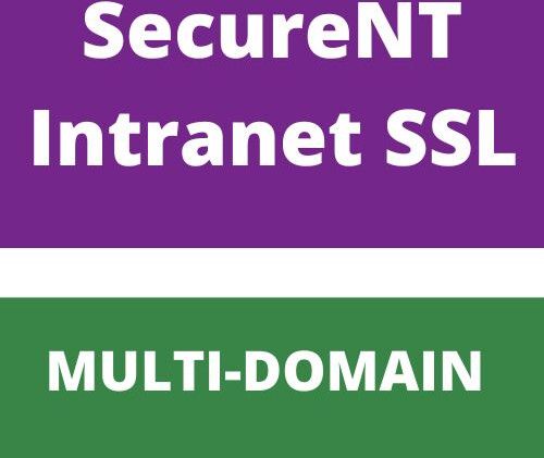 Ssl Certificate For Internal Networks - Multi-domain (securent)