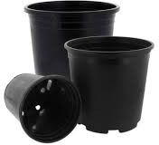 Plastic Black Nursery Pot