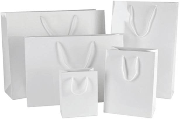 Laminated White Back Duplex Paper Bag With Cotton Rope Handle