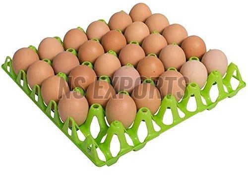 Poultry Eggs