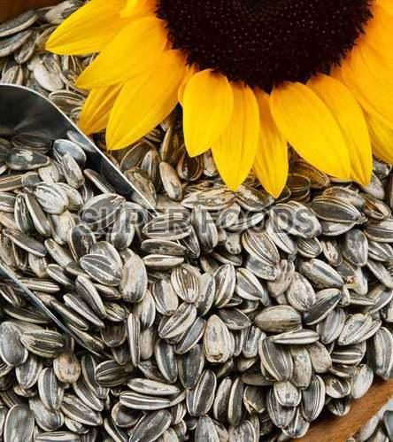 Quinoa Gold Sunflower Seeds, Packaging Size : 5kg