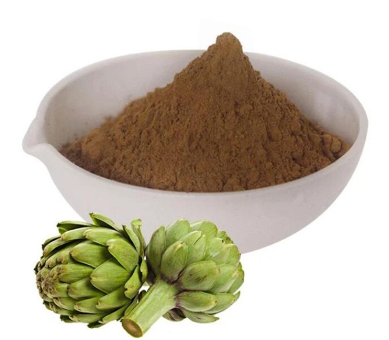 Brown Artichoke Extract Powder