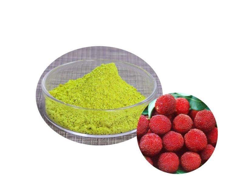 Green Bayberry Bark Extract Powder, Purity : 100%