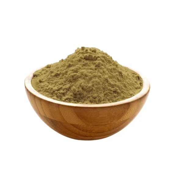 Brown Coleus Forskohlii Root Extract Powder