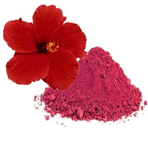 Red Hibiscus Rosa Sinensis Flower Extract Powder