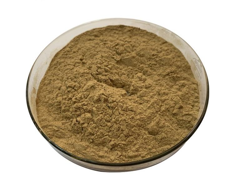 Brown Natural Yucca Root Extract Powder, for Commercial Food Industry