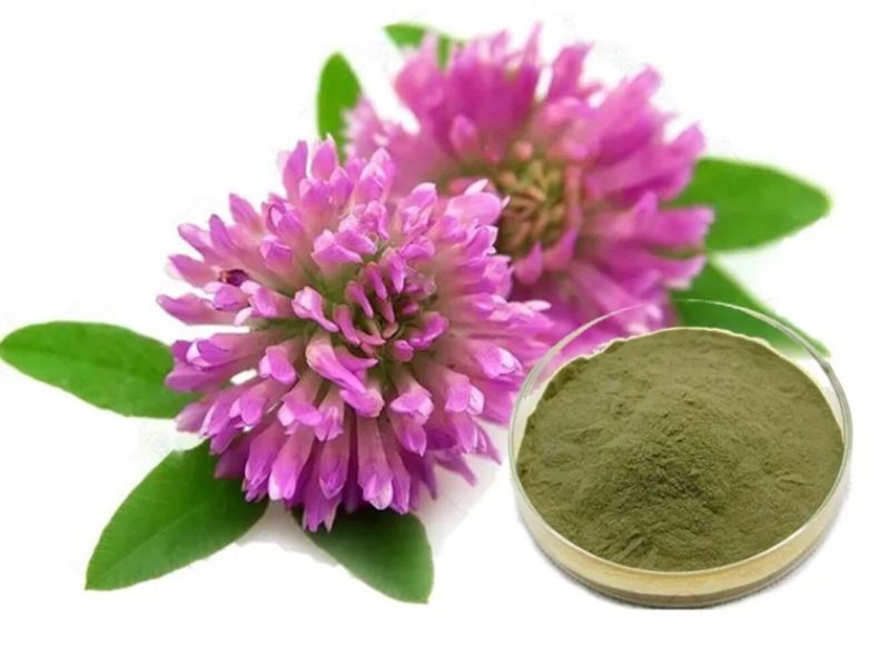 Green Red Clover Flower Extract Powder, Purity : 100%