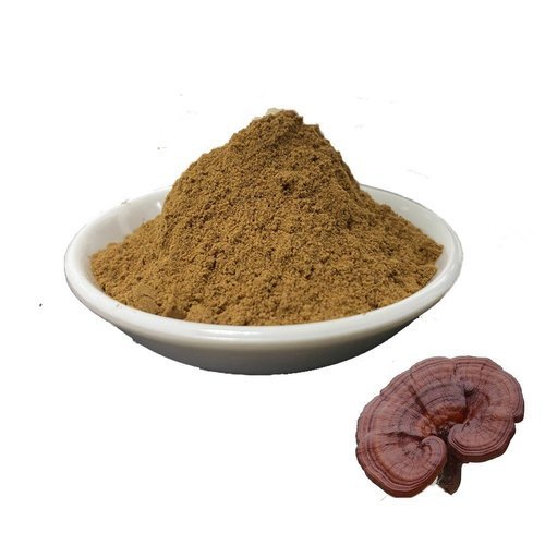 Reishi Mushroom Extract Powder