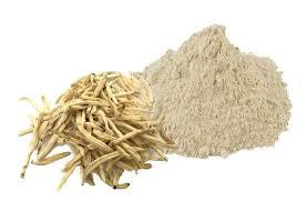 White Safed Musli Extract Powder, Purity : 100%