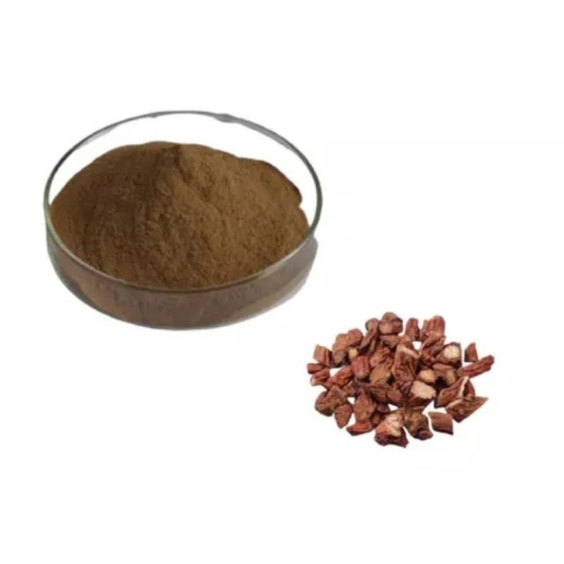 Brown Salvia Plant Extract Powder