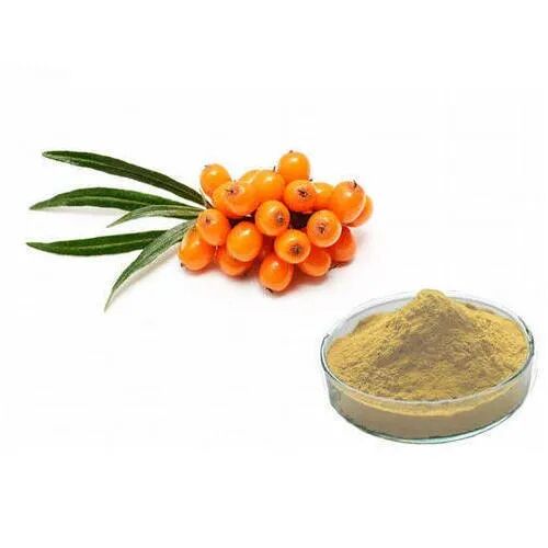 Sea Buckthorn Extract, for Commercial Food Industry, Shelf Life : 3 YEAR