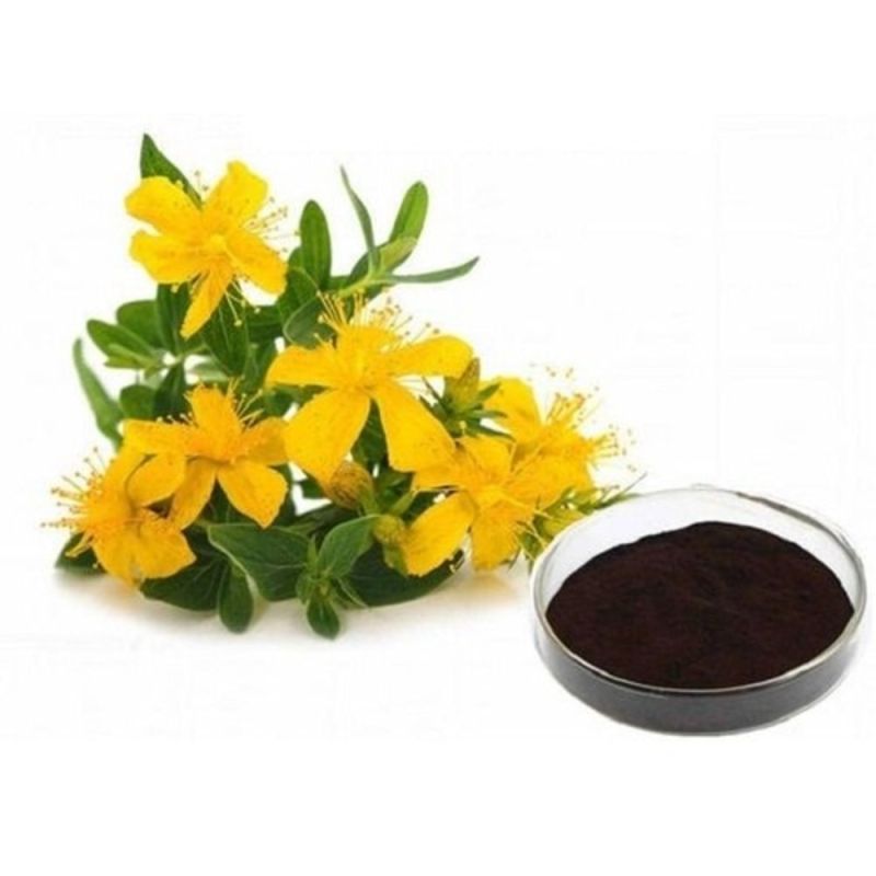 Black St John Wort Plant Extract Powder, for Commercial Food Industry